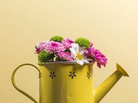 Yellow watering can Online now