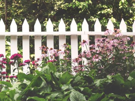 Wooden Fence on Sale