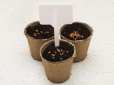 Biodegradable cardboard pots Hot on Sale