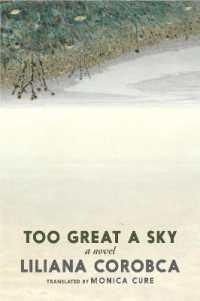 Too Great a Sky For Sale